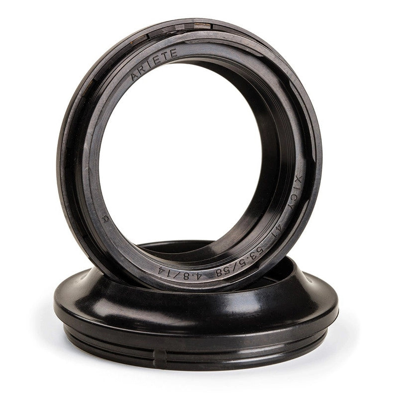 ARI- PAIR OF FORK OIL SEALS 45 X 58 X 11 DCY