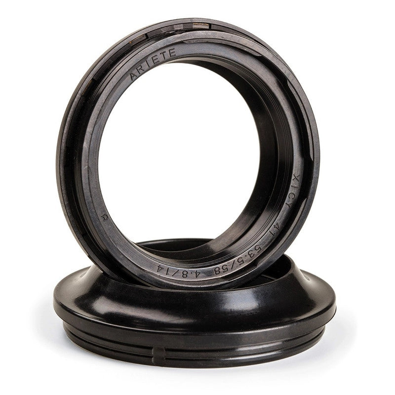 ARI- PAIR OF FORK OIL SEALS 48 X 60 X 9,5/10,5 DC4Y-1