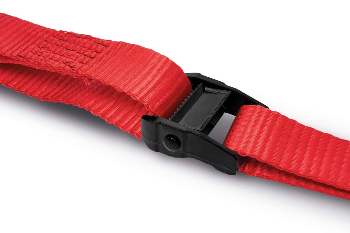 Ace Bikes - Ace Bikes Buckle Up