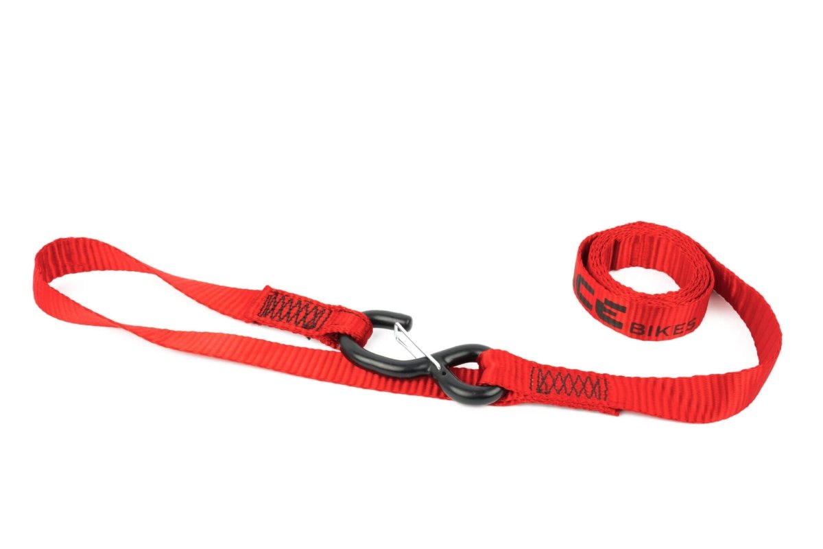 Ace Bikes - Ace Bikes Cam Buckle Premium 2