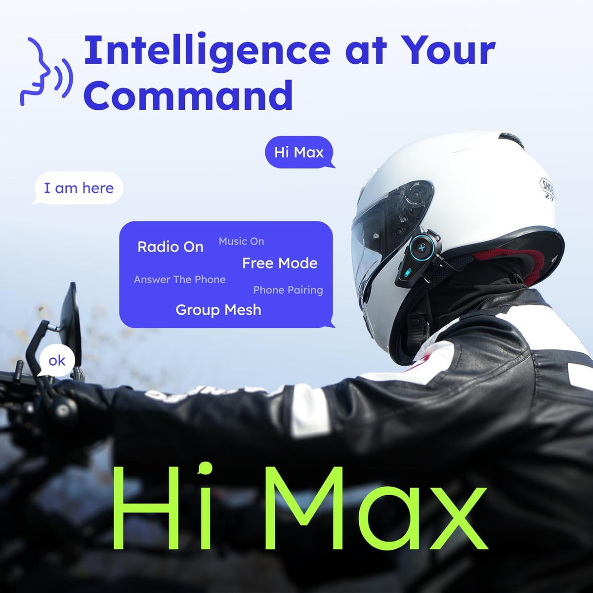 D10 offline Hi MAX AI voice control